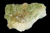 Vesuvianite & Diopside Crystal Cluster - Jeffrey Mine, Canada #134428-1